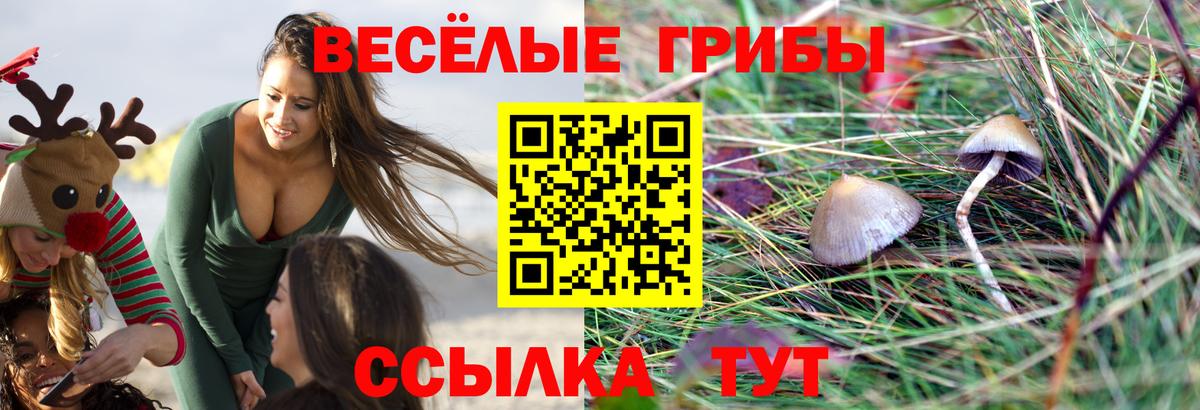 Псилоцибиновые грибы ЛСД  Вход с VPN  Большой Камень 